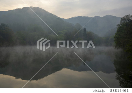 風景 湖 森 88815461