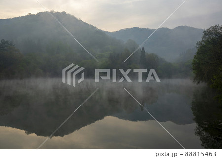 和順郡 湖 霧 88815463