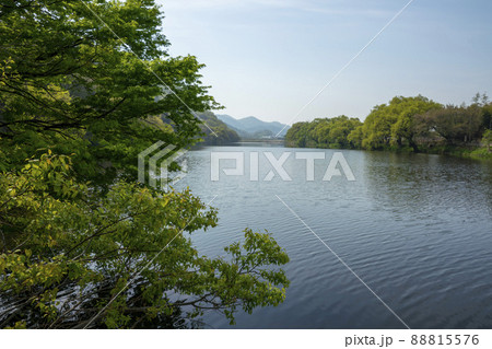 木 川 河 88815576