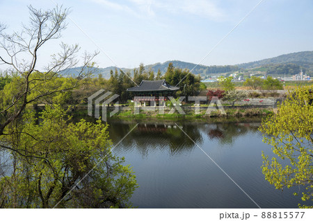川 河 風景 88815577