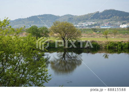 木 川 河 88815588