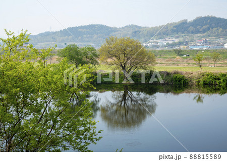 木 川 河 88815589