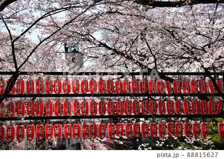 シティーループバスで仙台を巡る シティーループバスで仙台を巡る 88815627