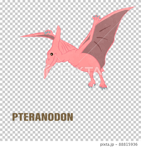 かわいいプテラノドンのイラスト03のイラスト素材