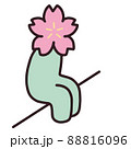 さくらのイラスト さくらのイラスト 88816096