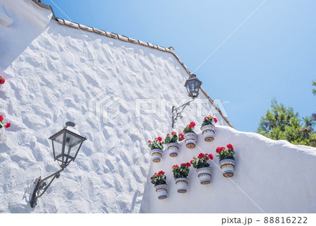 モルタル壁と植木鉢　リゾートイメージ　モルタル造形　イメージ素材　背景素材 88816222