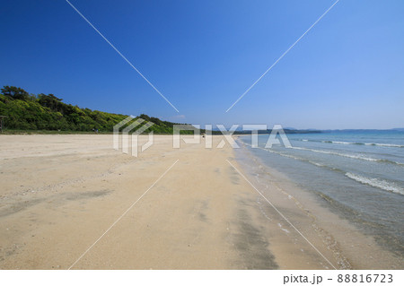 脇本海水浴場 88816723