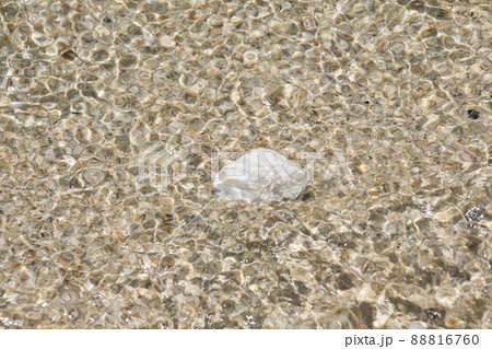 脇本海水浴場 脇本海水浴場 88816760