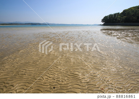 脇本海水浴場 88816861