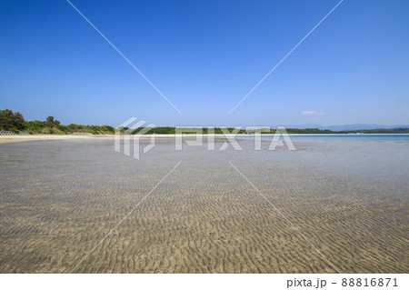 脇本海水浴場 脇本海水浴場 88816871