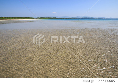 脇本海水浴場 脇本海水浴場 88816885