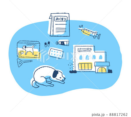 イヌの医療アイテムいろいろ イヌの医療アイテムいろいろ 88817262