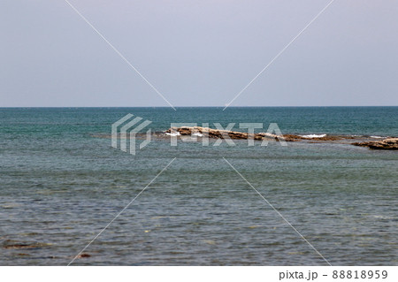 館山市沖ノ島「断層」 館山市沖ノ島「断層」 88818959