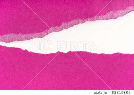 Ripped pieces of purple paper isolated on white background. Paper piece torn edge. Rip sheet paper tears. 88819302