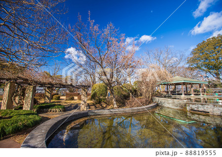 栃木県佐野市　城山公園の風景 88819555