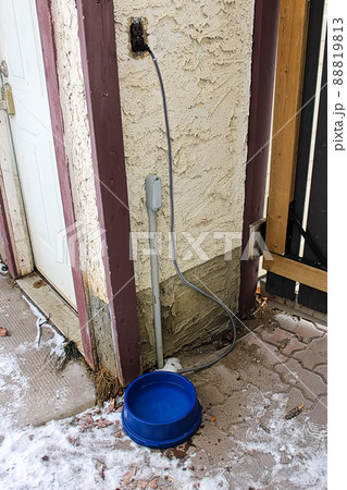 A heated dog bowl outside in winter 88819813