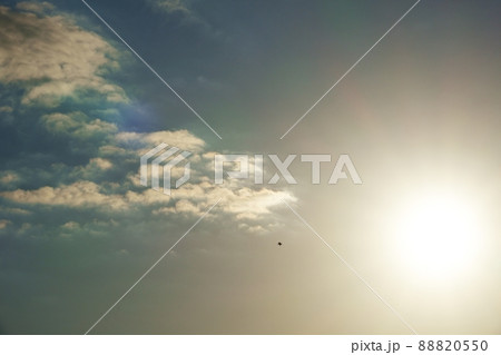 鳥が舞う初冬の爽快な朝空・朝日と金色に輝く雲・211113am 鳥が舞う初冬の爽快な朝空・朝日と金色に輝く雲・211113am 88820550