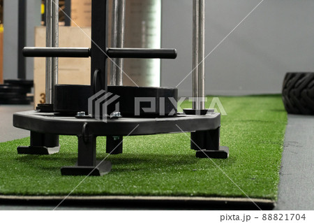 Sled fit young cross training, in the afternoon push muscular from adult and fitness drag, motion holding. Motivation workout beautiful, effort 88821704
