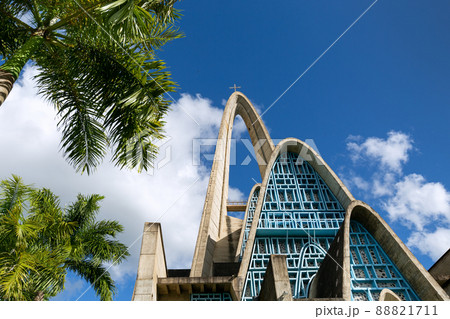 Basilica Catedral Nuestra Senora de la Altagracia 88821711