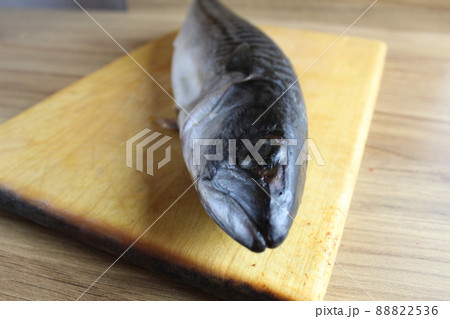 cutting mackerel fish. mackerel fish carcass lying on a butcher board is a kind of serhu. cooking fish cutting. step 1 cutting mackerel fish. mackerel fish carcass lying on a butcher board is a kind of serhu. cooking fish cutting. step 1 88822536