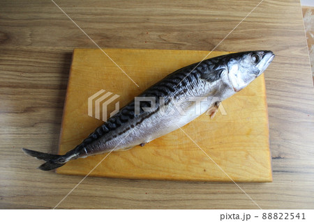 cutting mackerel fish. mackerel fish carcass lying on a butcher board is a kind of serhu. cooking fish cutting. step 1 88822541