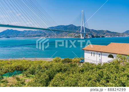 瀬戸内しまなみ海道、レモン谷から眺める多々羅大橋 88824299