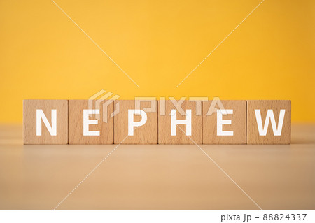 甥のイメージ｜「NEPHEW」と書かれた積み木 88824337