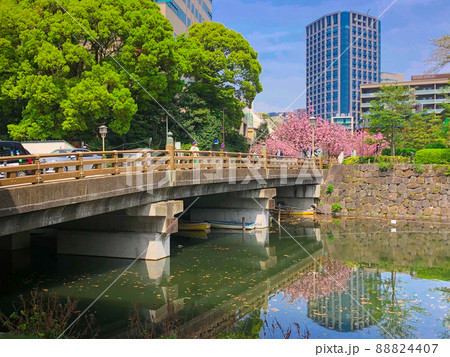 東京紀尾井町・弁慶橋と紀尾井町通リの八重桜並木 東京紀尾井町・弁慶橋と紀尾井町通リの八重桜並木 88824407