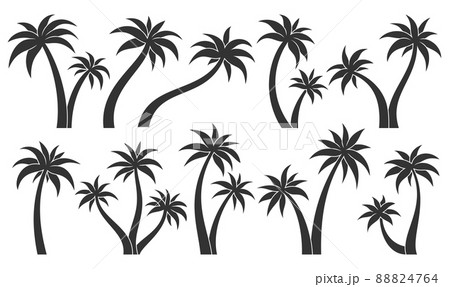 Palm tree tropic plant leaf stamp black glyph set. Tropical uninhabited island leafy subtropical silhouette sticker label various shape. Element postcard travel vacation summer forest isolated white 88824764
