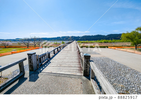 蓬莱橋 蓬莱橋 88825917
