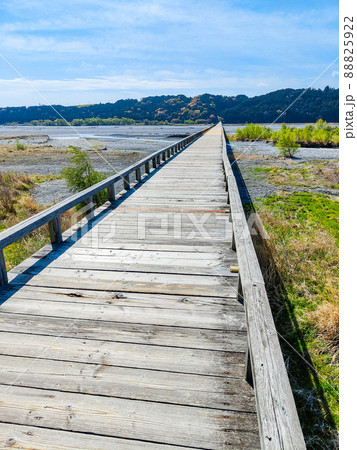 蓬莱橋 蓬莱橋 88825922
