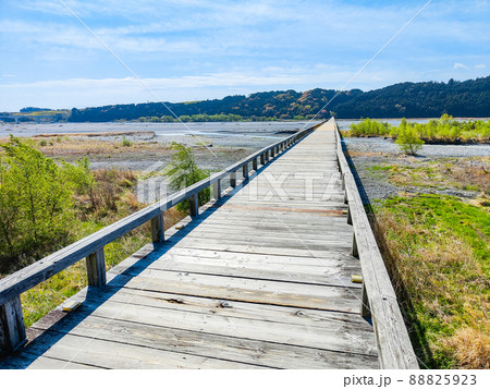 蓬莱橋 蓬莱橋 88825923