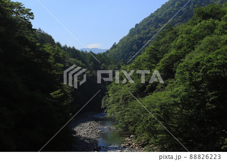 西沢渓谷 西沢渓谷 88826223