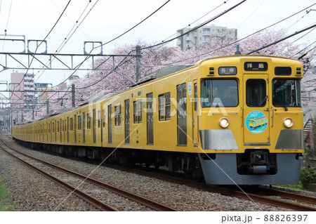 ［SS］西武新宿線旧2000系（各停：8両固定編成：引退末期） 88826397