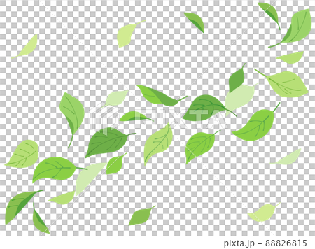 樹葉在風中飛舞的插圖 88826815