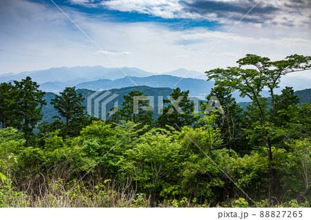 新緑の山道、水の流れ、空の青さ、美しい自然、東京の山歩き 新緑の山道、水の流れ、空の青さ、美しい自然、東京の山歩き 88827265