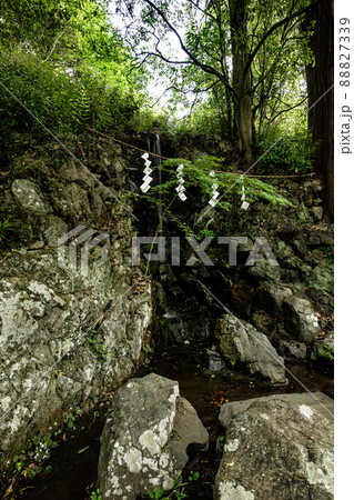 新緑の山道、水の流れ、空の青さ、美しい自然、東京の山歩き 新緑の山道、水の流れ、空の青さ、美しい自然、東京の山歩き 88827339