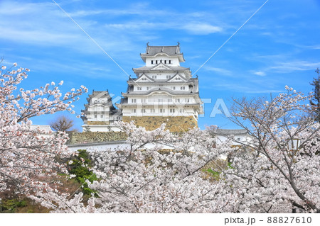 【兵庫県】晴天下の姫路城と満開の桜 88827610