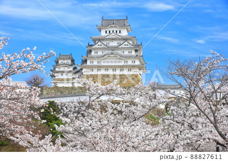 【兵庫県】晴天下の姫路城と満開の桜 88827611