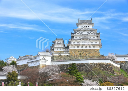 【兵庫県】晴天下の姫路城と満開の桜 88827612