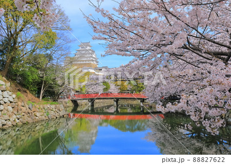 【兵庫県】姫路城内堀と満開の桜 88827622