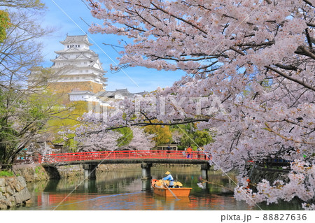 【兵庫県】満開の桜と姫路城の和船 88827636