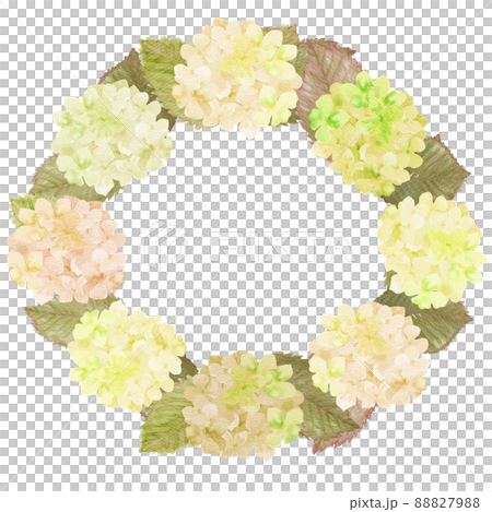 插圖素材:用水彩畫的可愛繡球花環復古古董色乾花 插圖素材:用水彩畫的可愛繡球花環復古古董色乾花 88827988