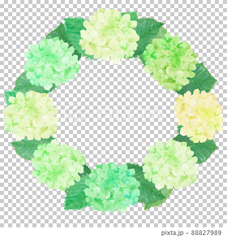 插圖素材：用水彩畫的可愛的繡球花環 自然清新的綠色 88827989