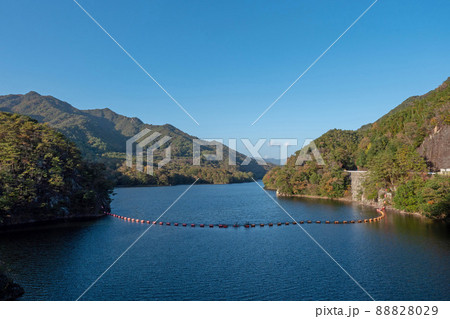 秋の小瀬川ダム周辺 88828029