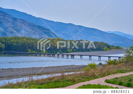 春の徳島県美馬市脇町と穴吹町間の吉野川に架かる脇町潜水橋 88828321