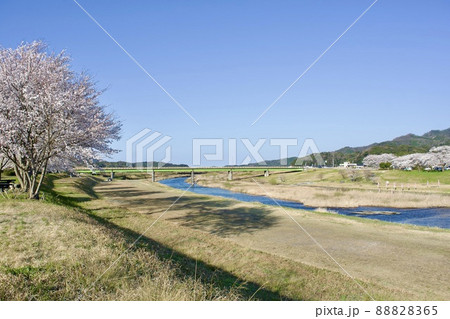 整備の済んだ春の月山富田城下 整備の済んだ春の月山富田城下 88828365