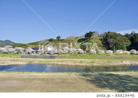 整備の済んだ春の月山富田城下を流れる飯梨川 整備の済んだ春の月山富田城下を流れる飯梨川 88828446