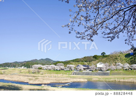 整備の済んだ春の月山富田城下を流れる飯梨川 整備の済んだ春の月山富田城下を流れる飯梨川 88828448
