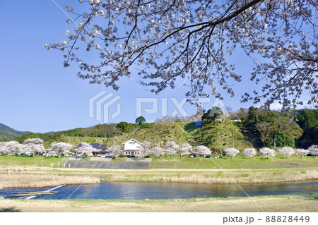 整備の済んだ春の月山富田城下を流れる飯梨川 整備の済んだ春の月山富田城下を流れる飯梨川 88828449